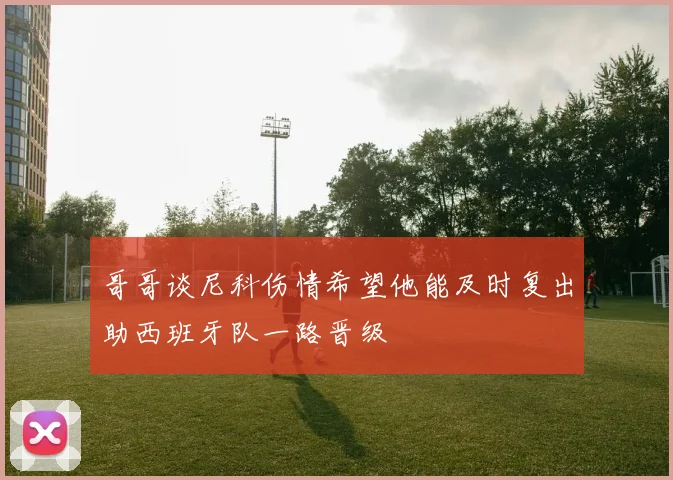 哥哥谈尼科伤情希望他能及时复出助西班牙队一路晋级
