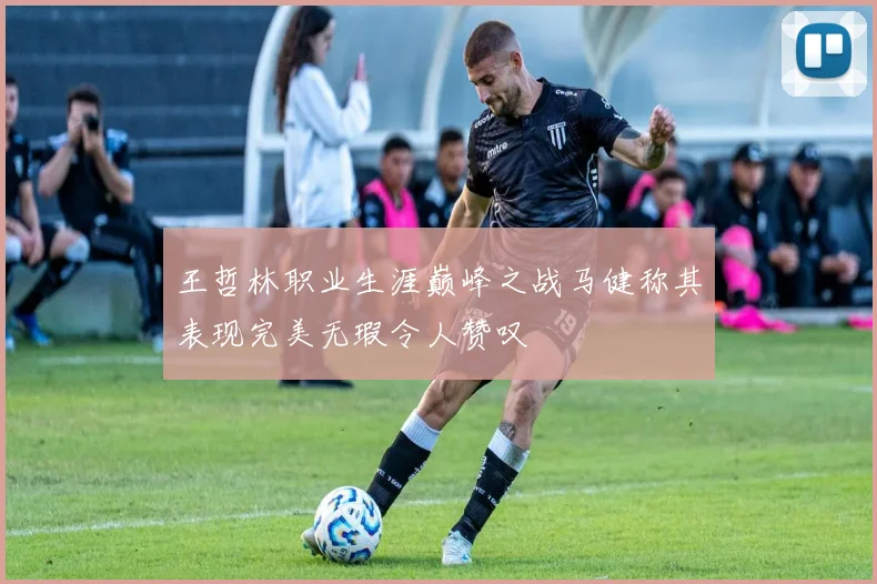 王哲林职业生涯巅峰之战马健称其表现完美无瑕令人赞叹