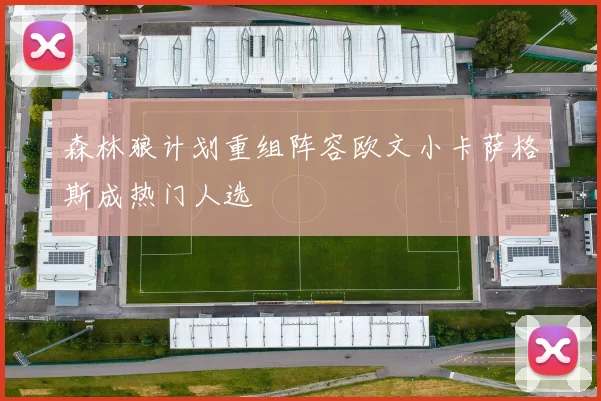 森林狼计划重组阵容欧文小卡萨格斯成热门人选