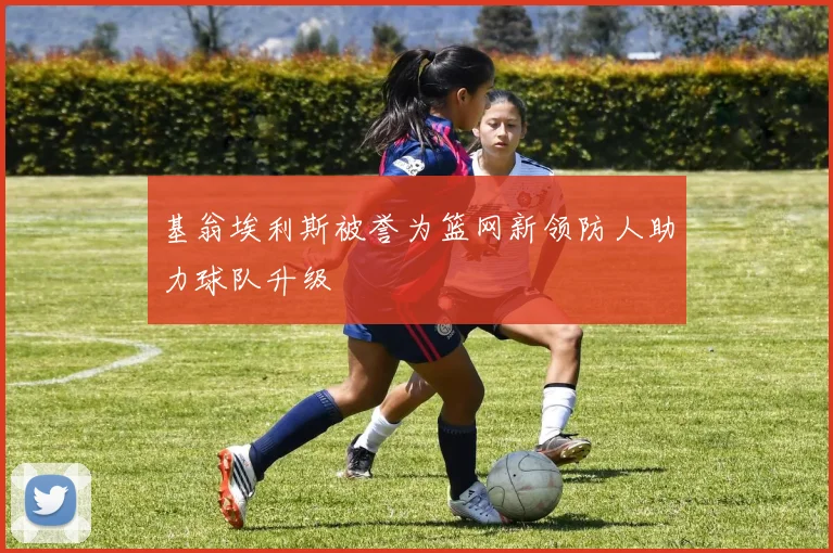 基翁埃利斯被誉为篮网新领防人助力球队升级